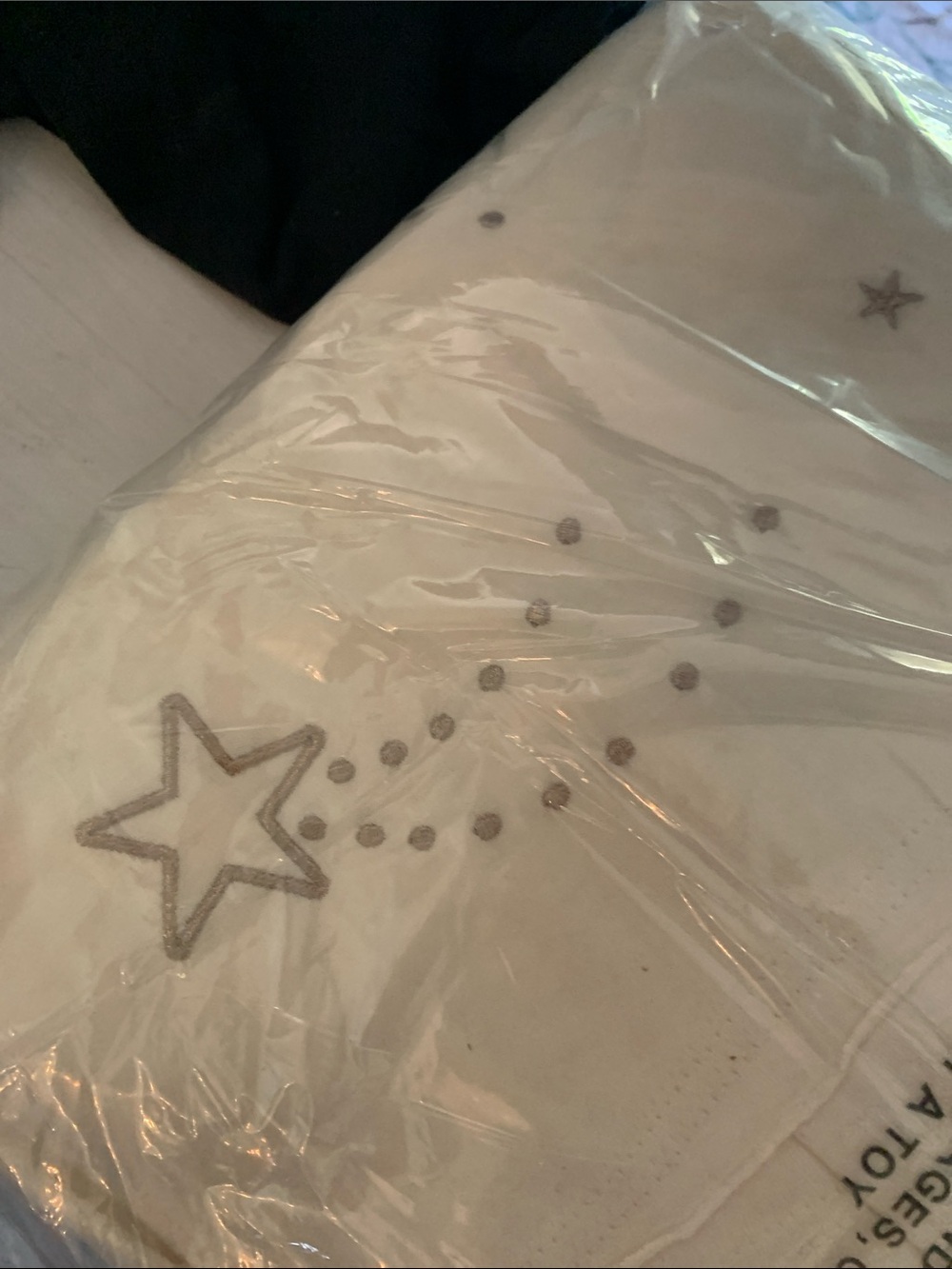 Star Embroidered Cream Top